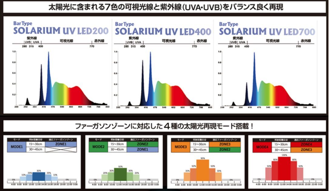 ファーガソンゾーン